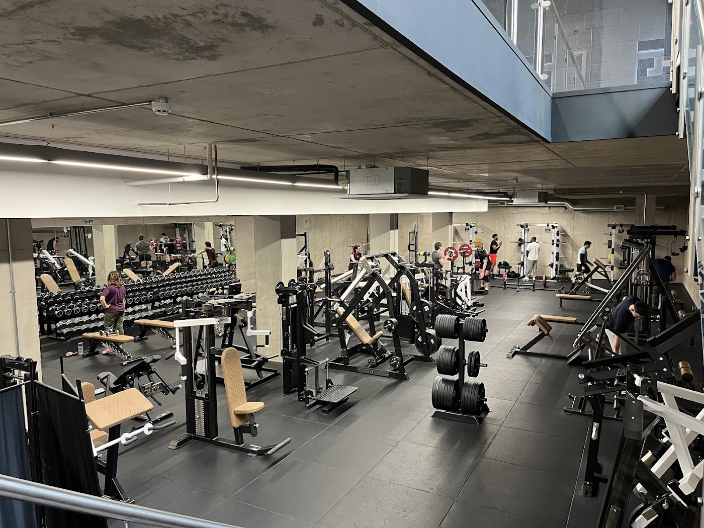 Inside Federation Gym